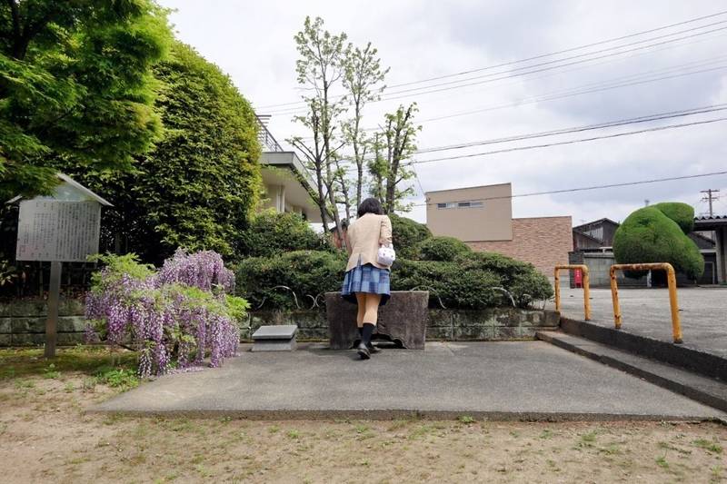 天然寺,愛知県江南市上奈良町字栄144