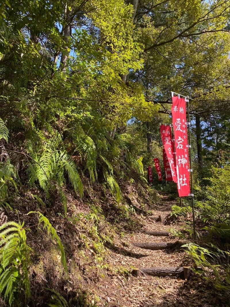 愛宕神社  (井代星越),愛知県新城市井代星越32