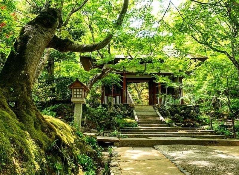 常寂光寺,京都府京都市右京区嵯峨小倉山小倉町3