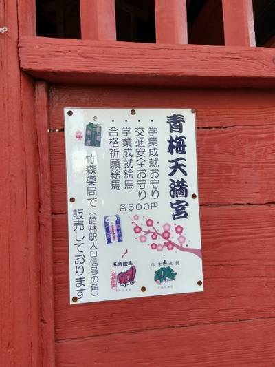 青梅神社,見どころ,おうぎ