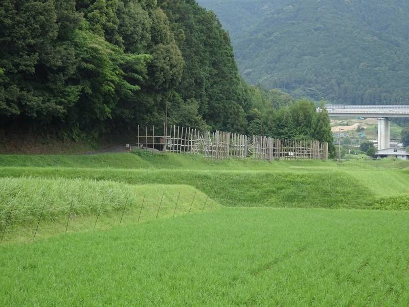長篠設楽原の戦い決戦場,愛知県新城市竹広大宮清水1-9