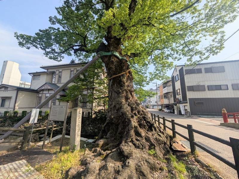 織田神社,兵庫県丹波市柏原町柏原204