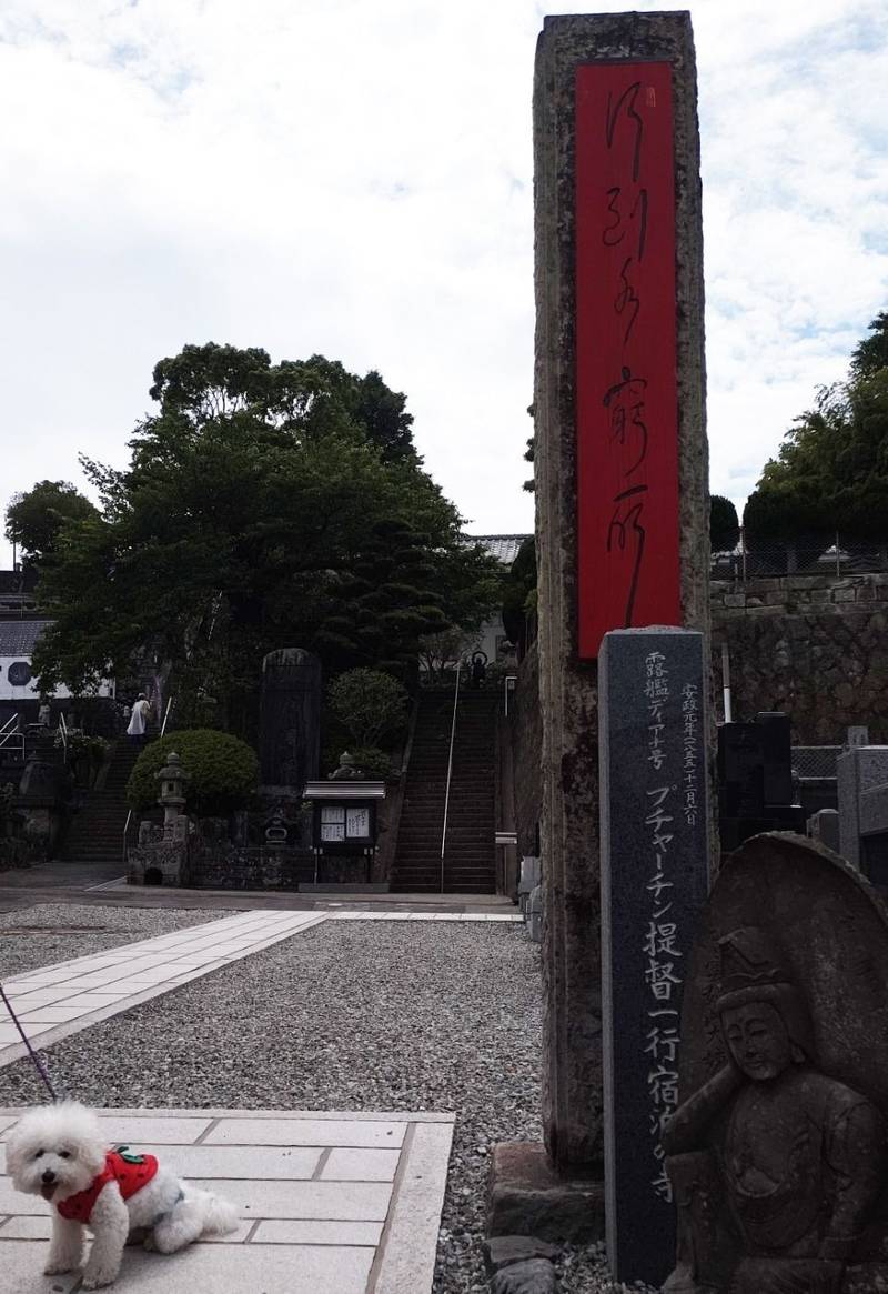 照江寺,静岡県沼津市江浦70