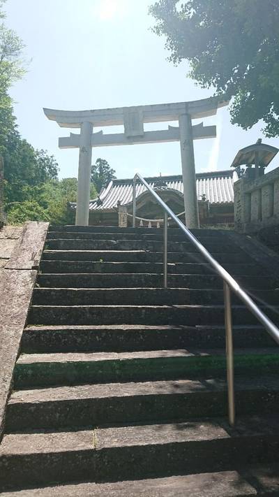 中王子神社,見どころ,ちえぞう