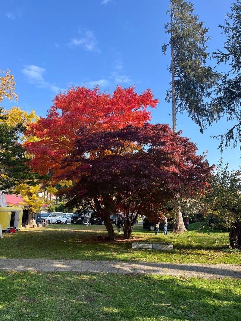 有珠善光寺,北海道伊達市有珠町124番地