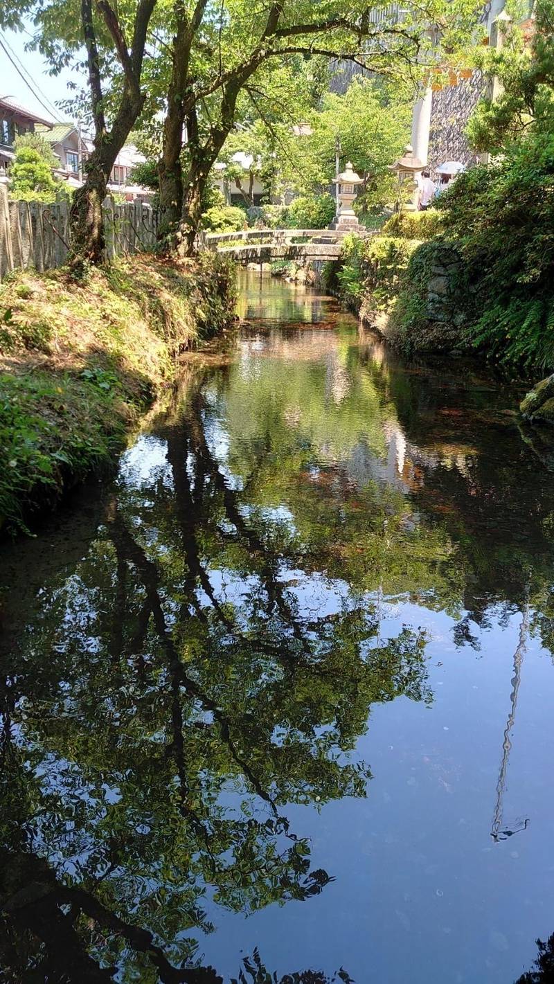 加茂神社,滋賀県米原市醒ヶ井58