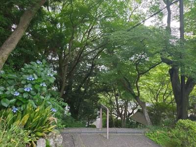 興正寺霊山本廟,見どころ,にゃーこ