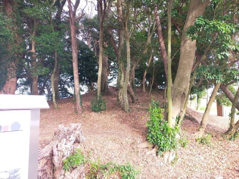 小田茶臼塚古墳,福岡県朝倉市小田