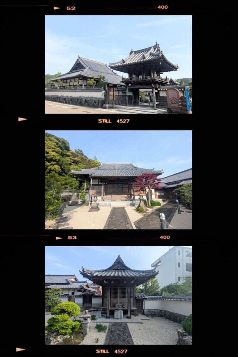 西楽寺,兵庫県丹波市柏原町柏原202-1