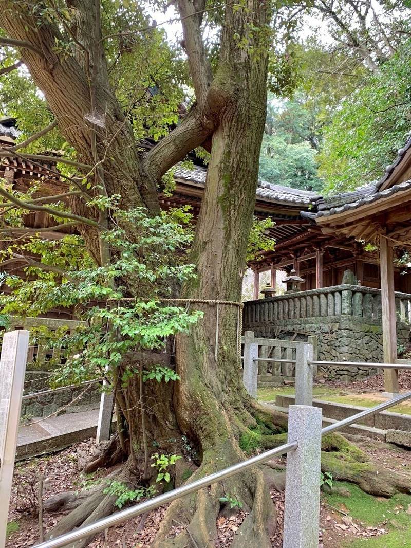 久麻久神社,愛知県西尾市八ツ面町麓７７