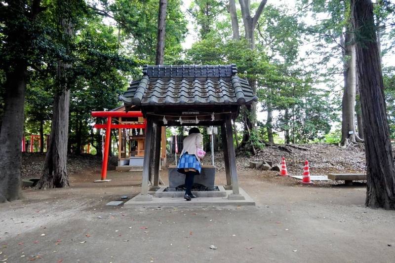 中山神社,埼玉県さいたま市見沼区中川143