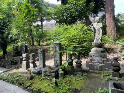 桂昌庵,見どころ,you