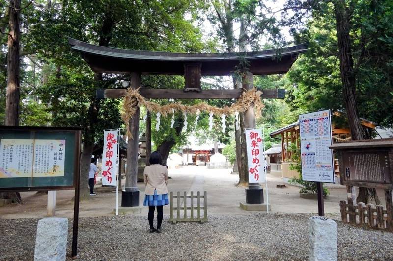 中山神社,埼玉県さいたま市見沼区中川143