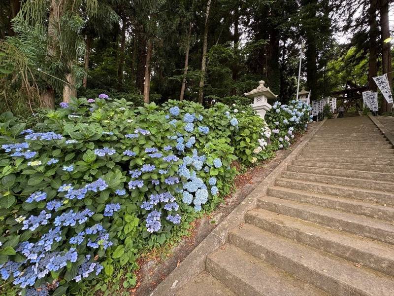 八乙女八幡神社,山形県西置賜郡白鷹町荒砥甲字楯廻1092