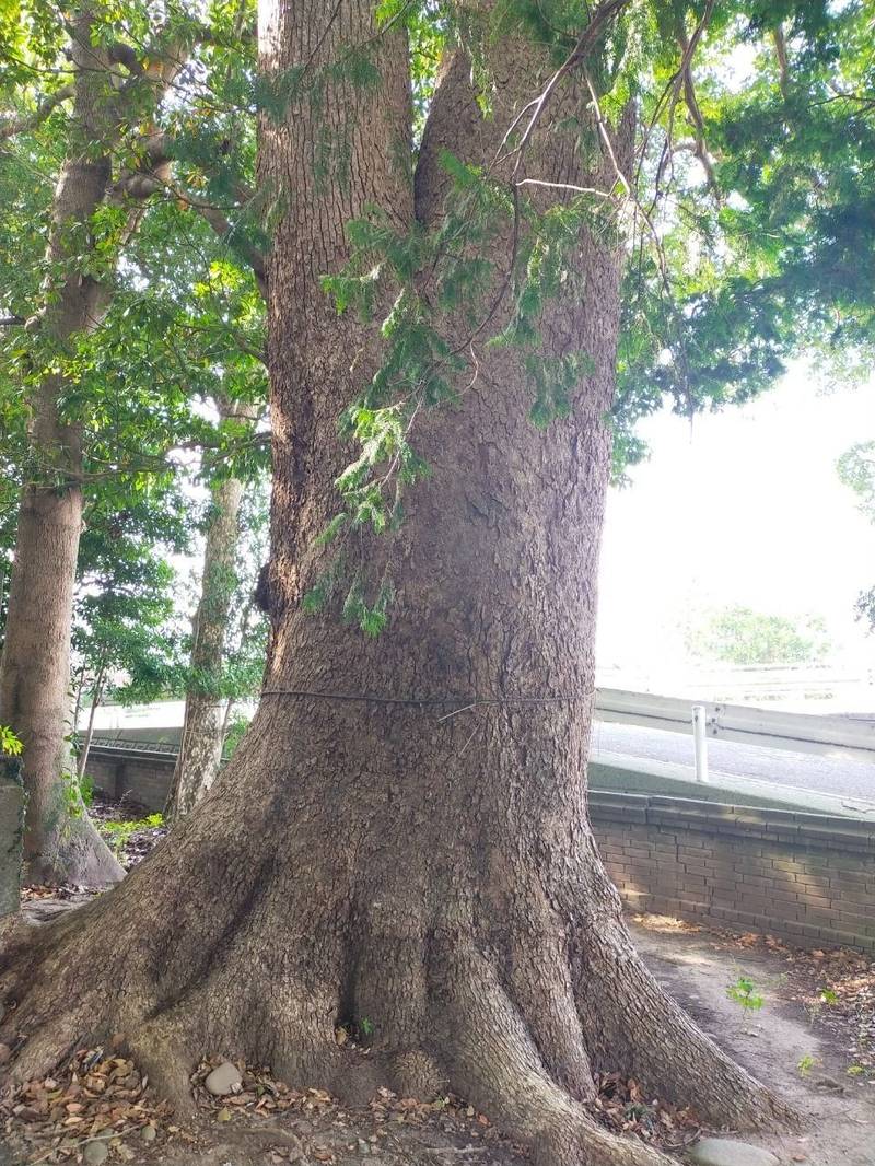 貴船神社,福岡県築上郡上毛町下唐原688