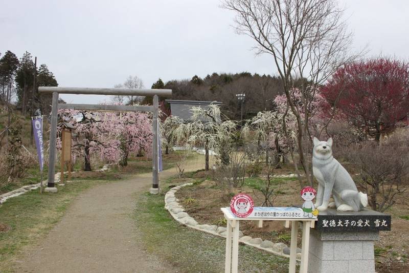 花乃丘神社,三重県津市戸木町4096 　かざはやの里内