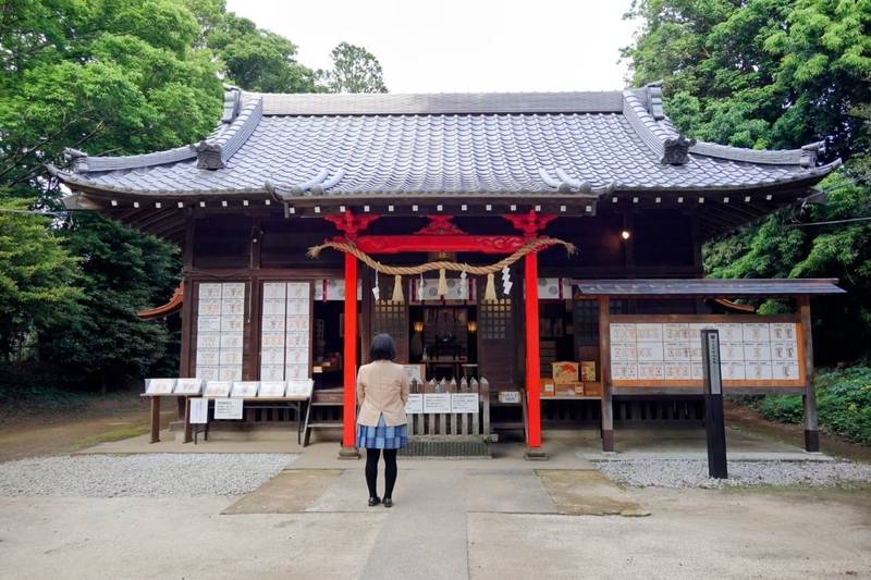 中山神社,埼玉県さいたま市見沼区中川143