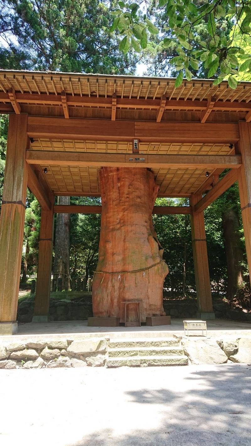 国造神社の御朱印