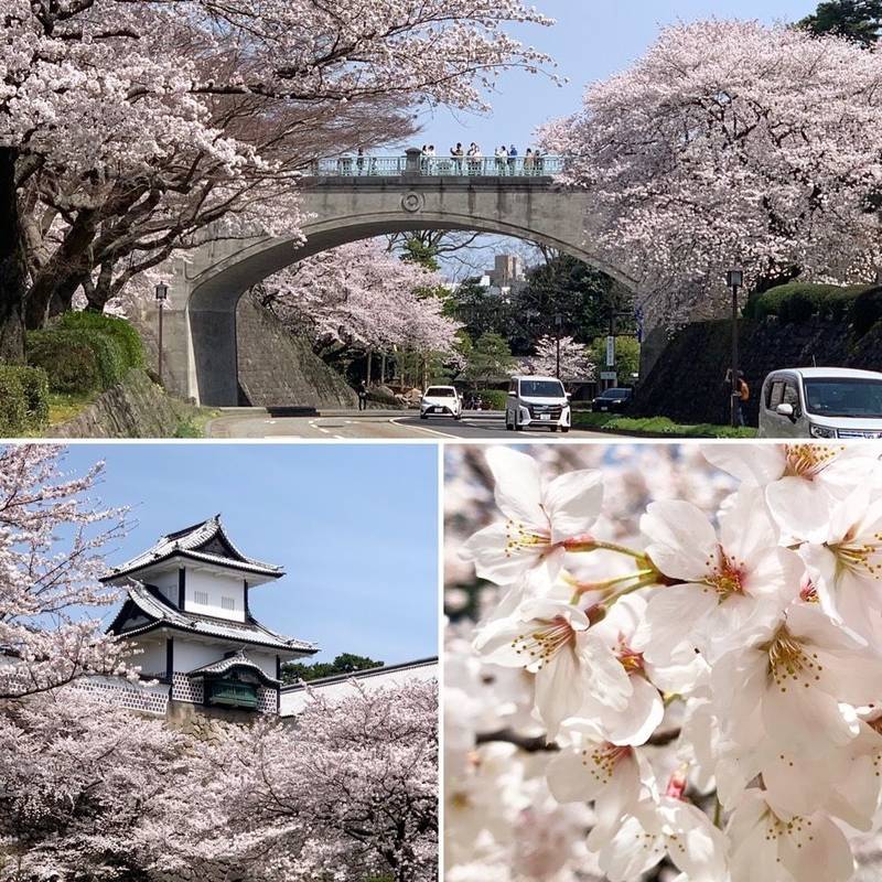 金沢城 金沢城公園 見どころ 金沢市 石川県 Omairi おまいり 金沢城 金沢城公園 見どころ 金沢市 石川県 Omairi おまいり