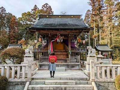 八坂神社 (宮川町),見どころ,平沢凛