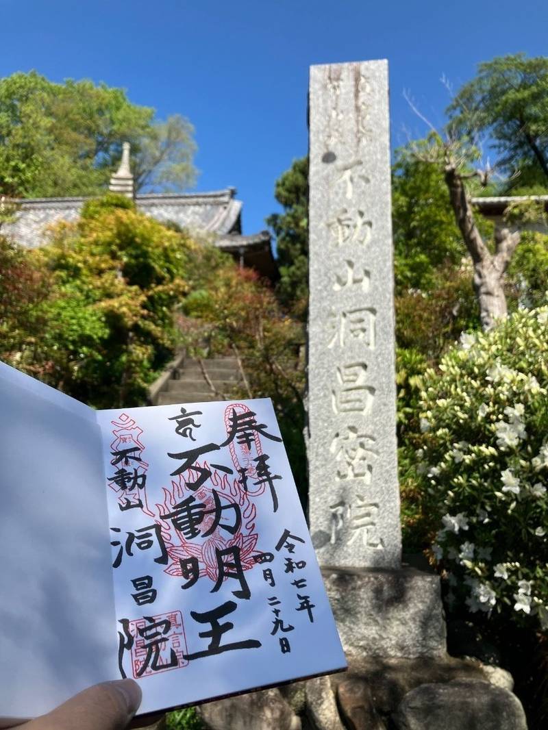 洞昌院   (萩寺),埼玉県秩父郡長瀞町大字野上下郷２８６８