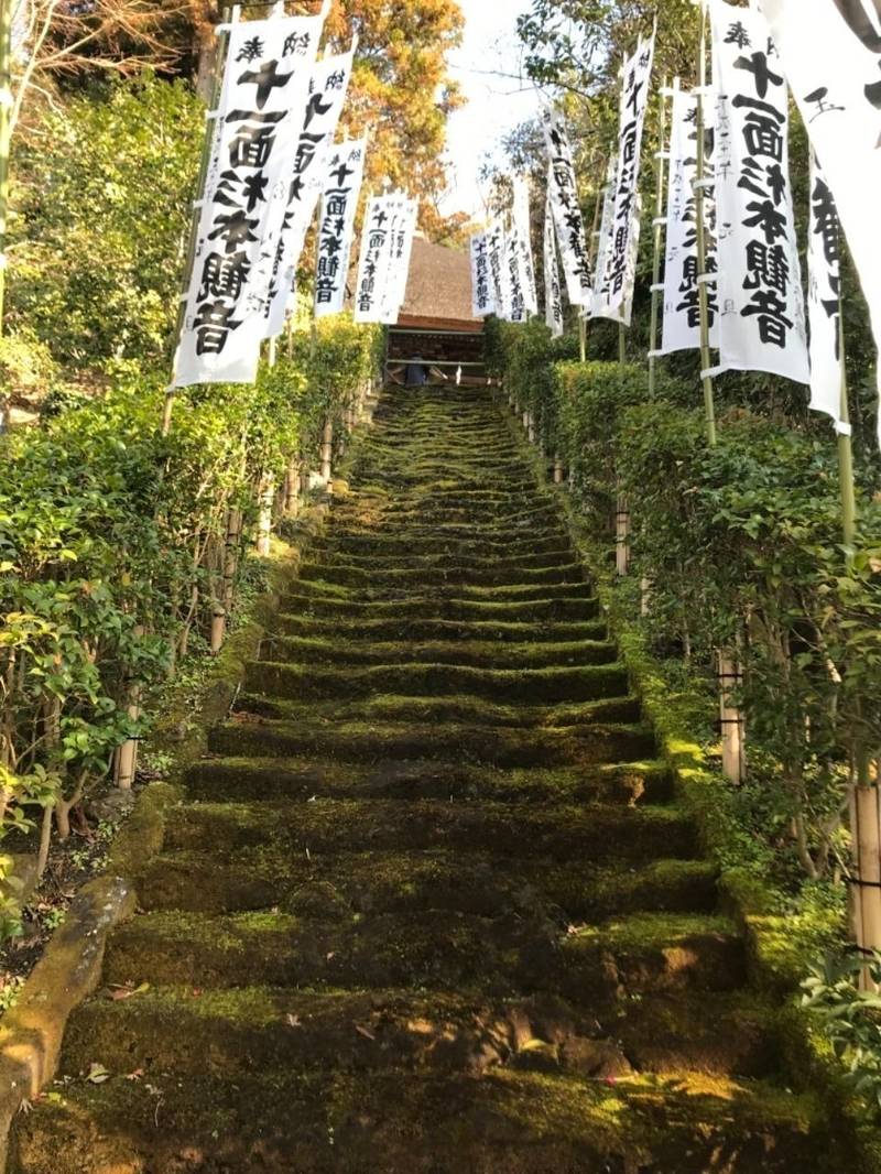 杉本寺 鎌倉市 神奈川県 の見どころ 杉本寺の苔生 By とと Omairi おまいり