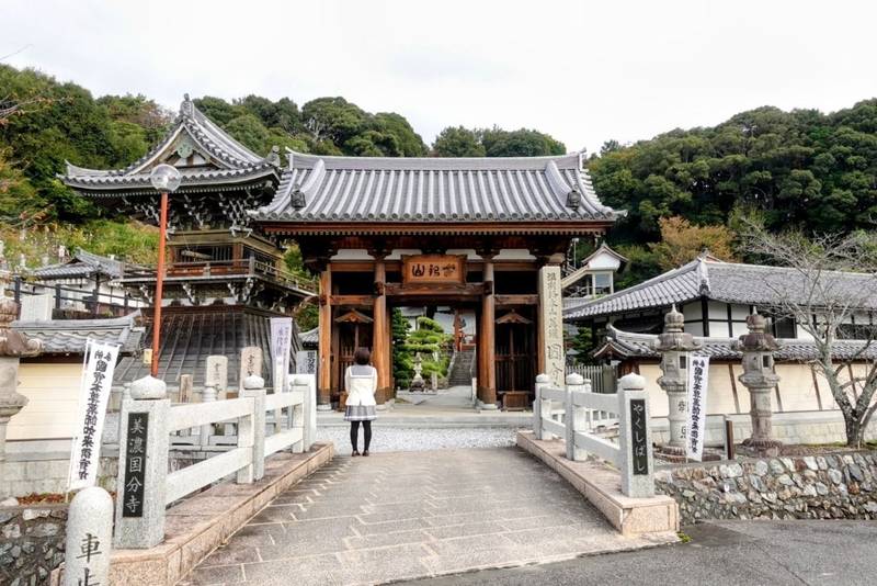 美濃国分寺,岐阜県大垣市青野町419