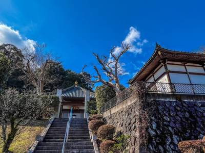 広沢山 福厳寺,見どころ,ほし