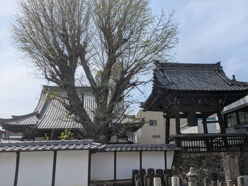 上宮寺    (大門町),岐阜県岐阜市大門町12