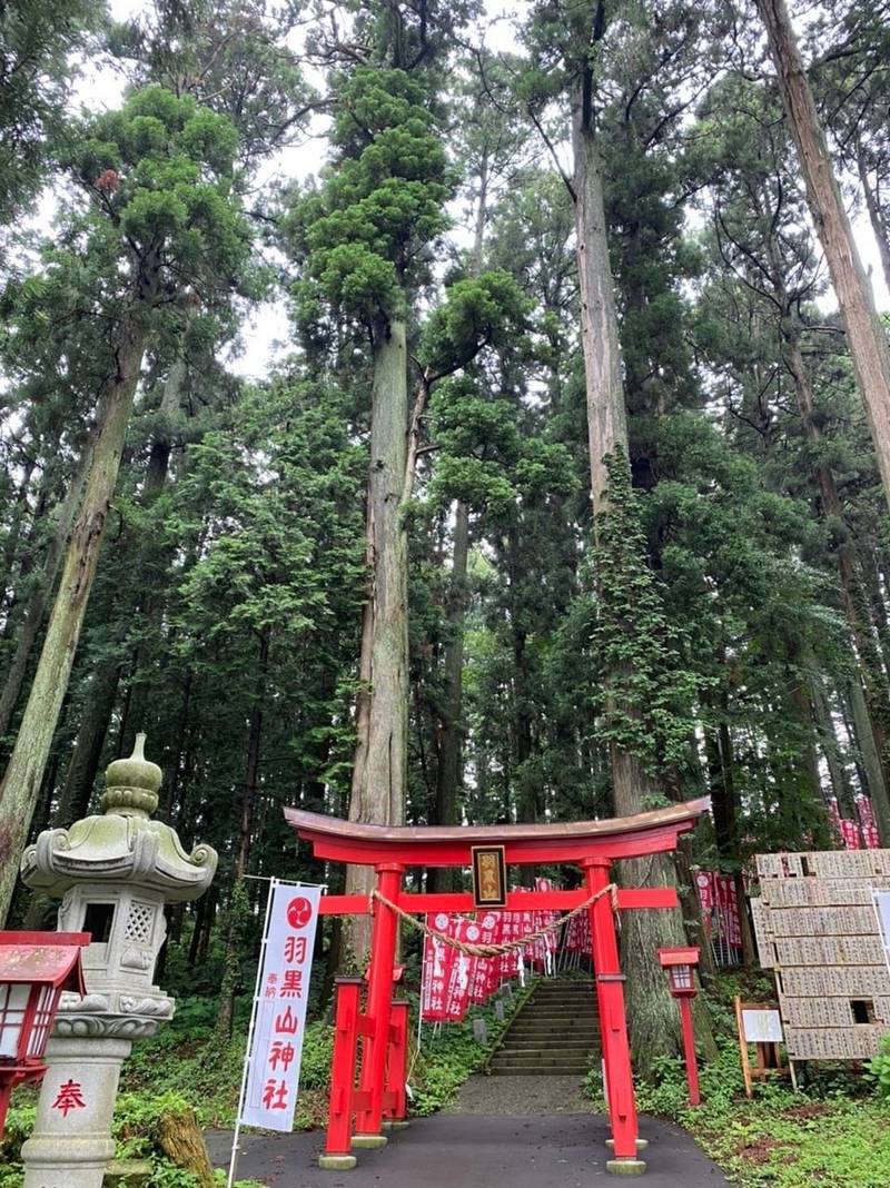 羽黒山神社 見どころ 宇都宮市 栃木県 Omairi おまいり