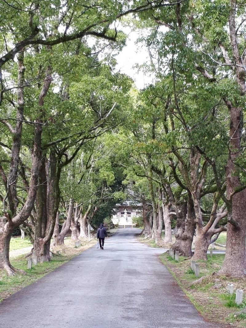 観世音寺