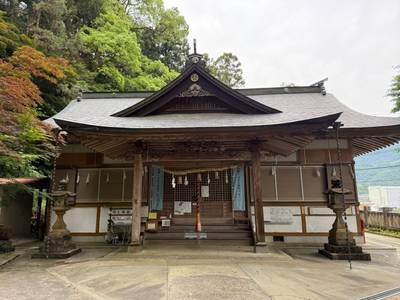 杉尾神社,見どころ,ミヤシーン