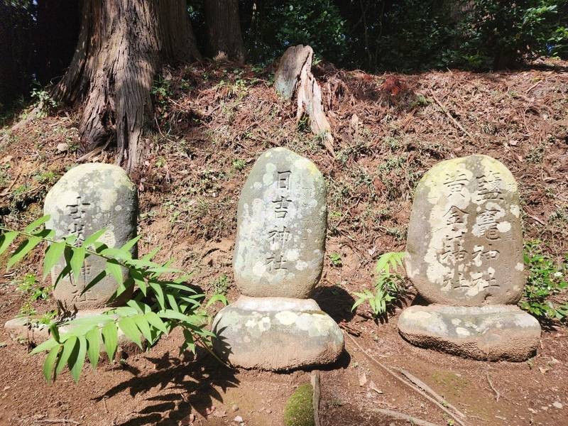 白山神社 (蔵王町),宮城県刈田郡蔵王町円田白山28