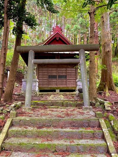 七社神社,見どころ,を神