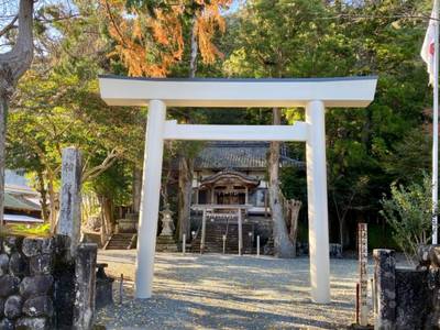 相賀神社,見どころ,を神