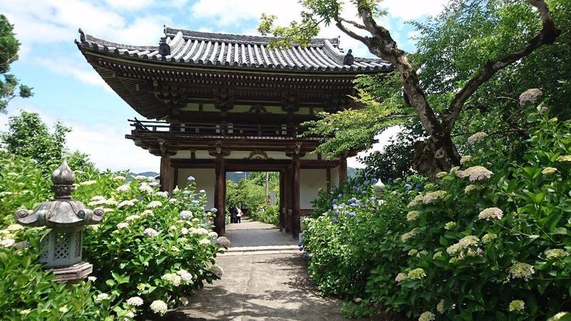 観音寺 御朱印 福知山市 京都府 Omairi おまいり 観音寺 御朱印 福知山市 京都府 Omairi おまいり