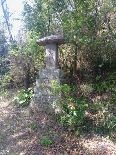 鹿嶋神社,見どころ,あまてらす王海守