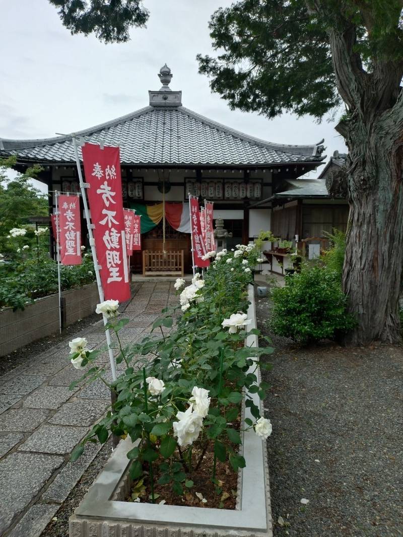 同聚院     (十万不動さん),京都府京都市東山区本町15丁目799