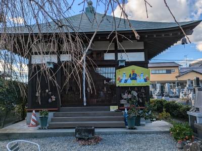 宗心寺,見どころ,ながまつ・西源寺Jr.