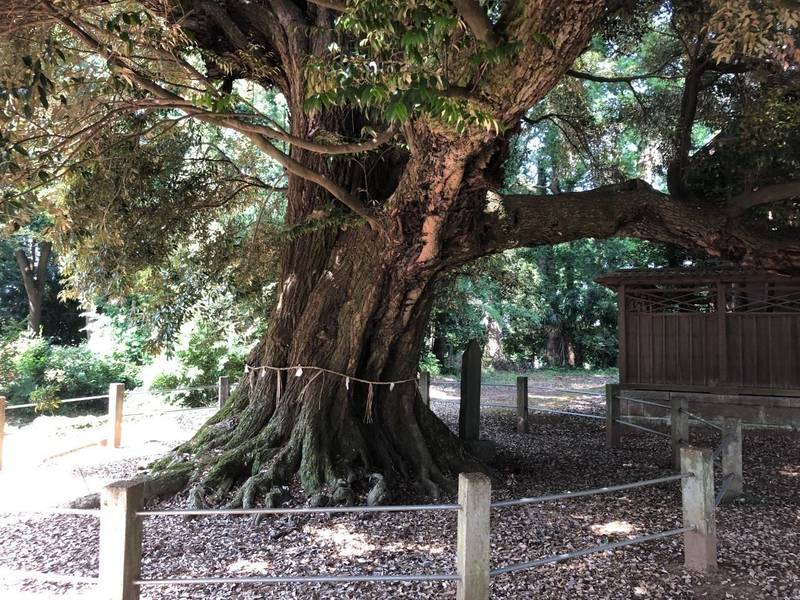 月読神社,茨城県つくば市樋の沢208