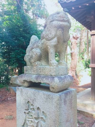 蘿神社,見どころ,あまてらす王海守