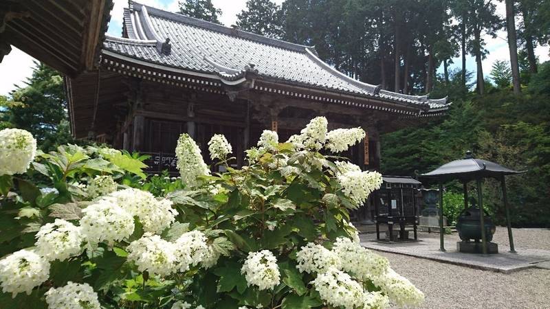 観音寺,京都府福知山市観音寺1067