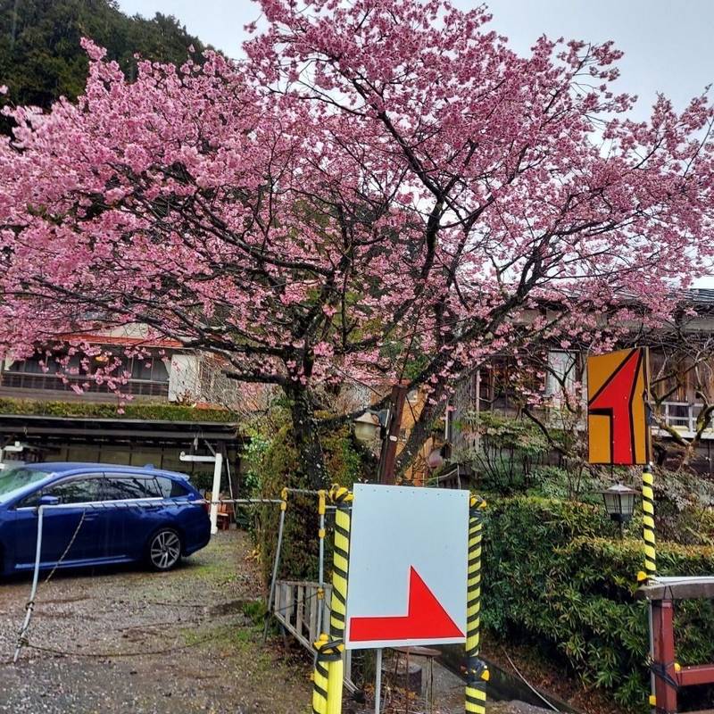 天神神社,静岡県下田市蓮台寺352