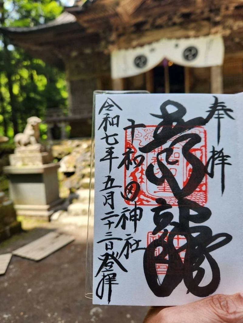 十和田神社,青森県十和田市奥瀬字十和田１４
