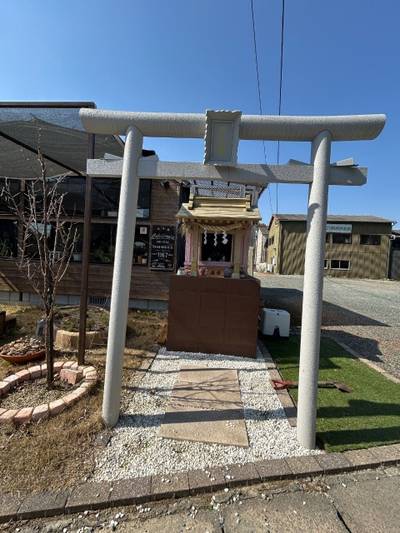 多肉神社,見どころ,小龍
