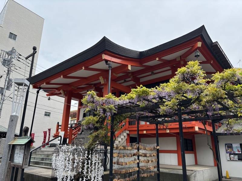 善國寺     (神楽坂毘沙門天),東京都新宿区神楽坂5-36