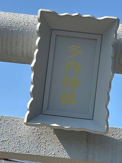 多肉神社,見どころ,小龍