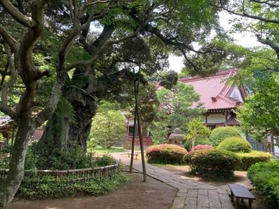 高根寺,見どころ,船橋大明神