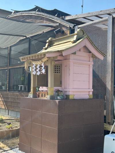 多肉神社,見どころ,小龍