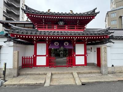 真光院,見どころ,makiin